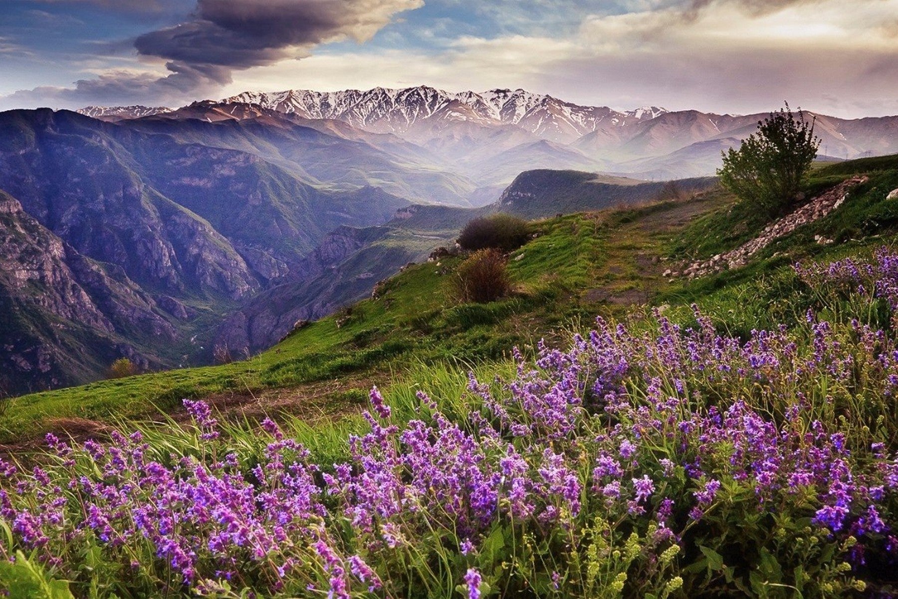 The Untamed Essence of Armenia’s Terroir: Why INSIDE Skincare’s Wild Botanicals Transform